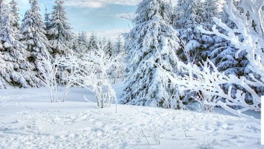 Winterland ECZ