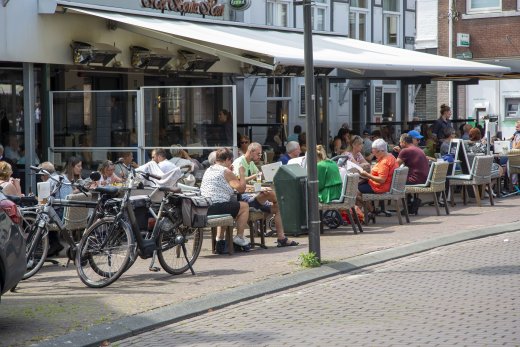 terras 